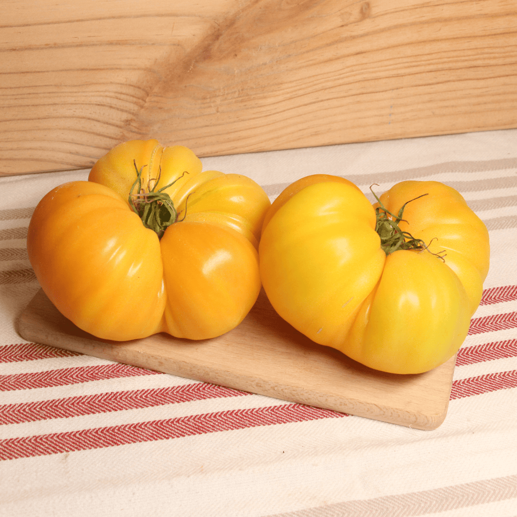 Tomate ananas FRANCE BIO - 900g Pronadis vrac-zero-dechet-ecolo-montaudran