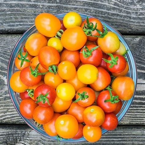 Tomates cerises multicolores BIO - 250g PRONADIS vrac-zero-dechet-ecolo-montaudran